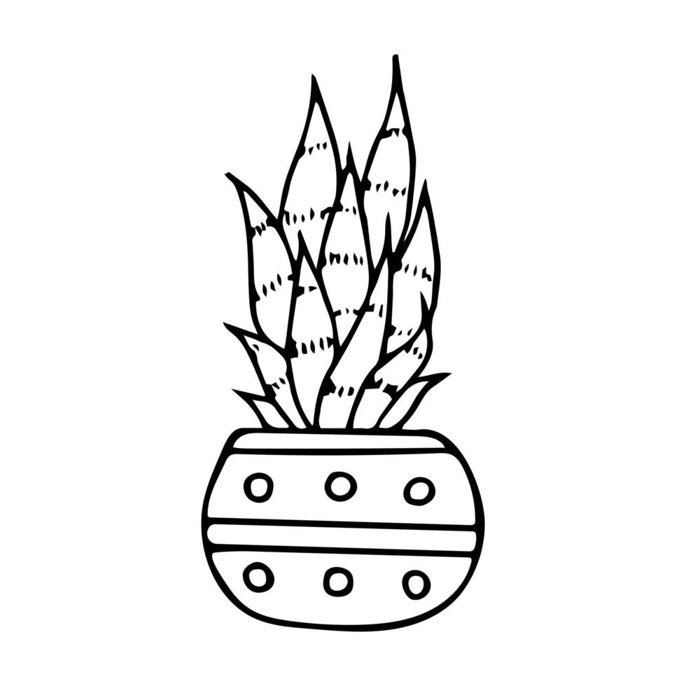 aloe doodle dessiné à la main, vecteur succulent en pot. plante d'appartement. présenter.
