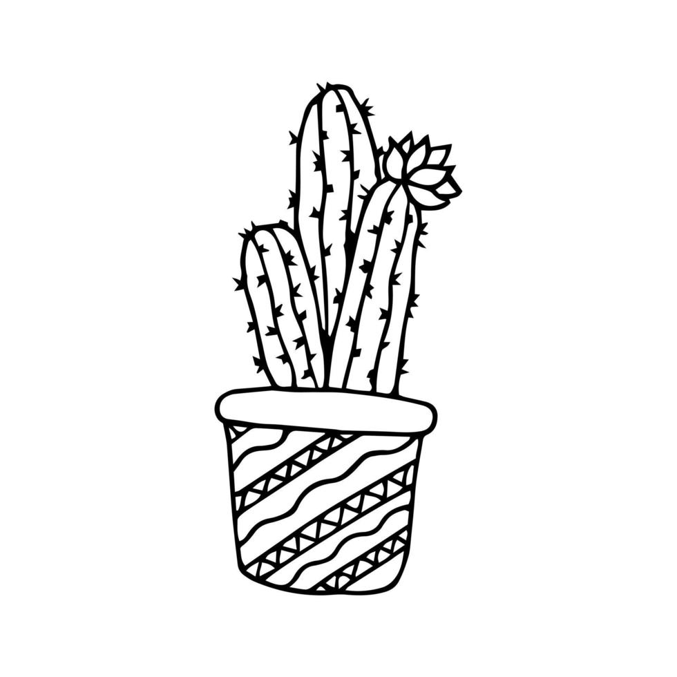 cactus de griffonnage dessiné à la main. vecteur succulent en pot. plante d'appartement. présenter.