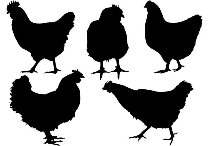 Vecteur de silhouettes de poulet gratuit