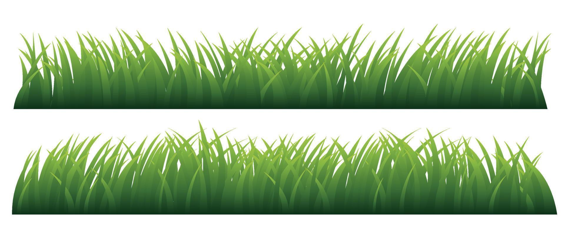 l'herbe verte. illustration vectorielle. vecteur