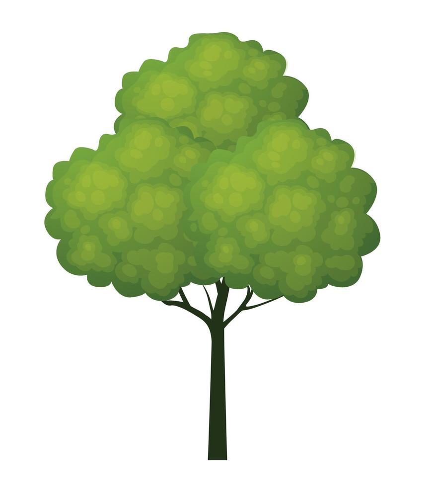 arbre de printemps vert. illustration vectorielle. vecteur