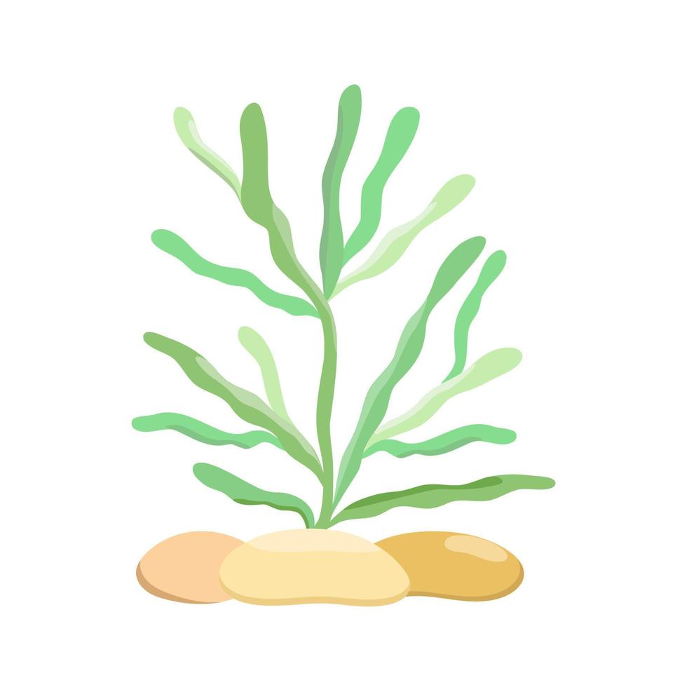 illustration vectorielle de la faune mignonne d'herbes marines, image de dessin animé de plantes marines sous-marines pour les enfants, image simple dessinée à la main de la vie marine vecteur