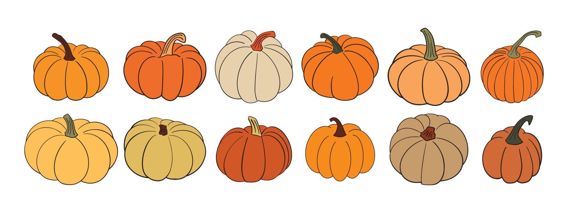 grand ensemble de diverses courges de citrouille dessinées à la main dans des couleurs chaudes d'automne naturelles isolées sur blanc. illustration vectorielle - automne, halloween, éléments de conception de thanksgiving. collection cottagecore rustique vecteur