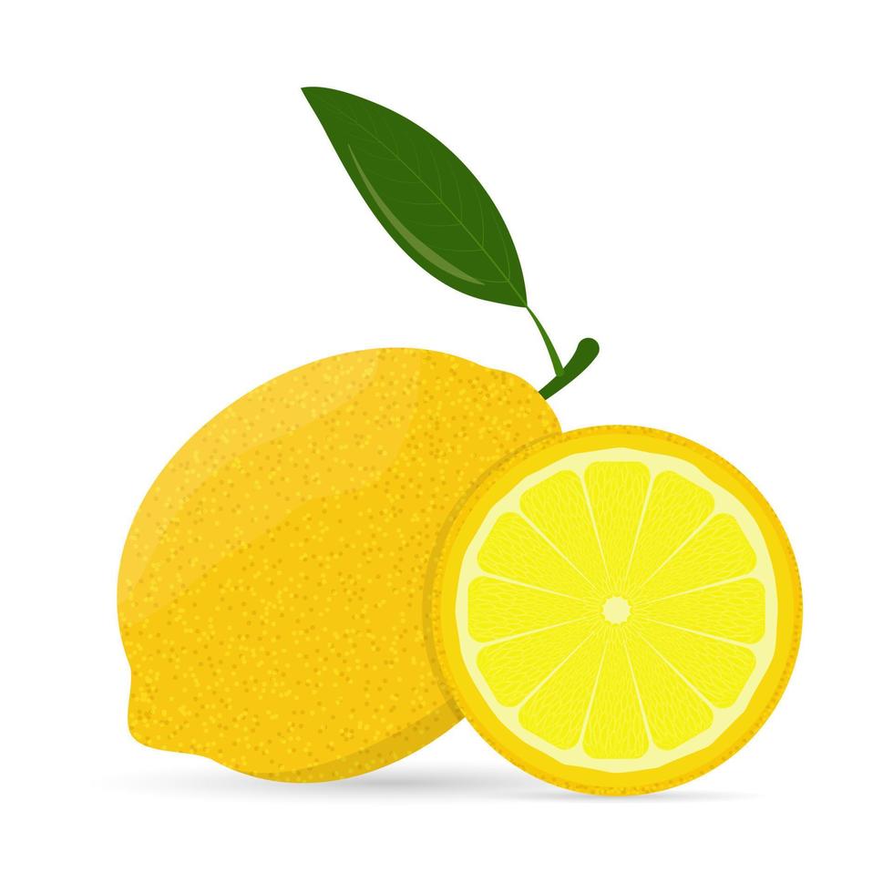 illustration vectorielle de citron entier et tranche vecteur