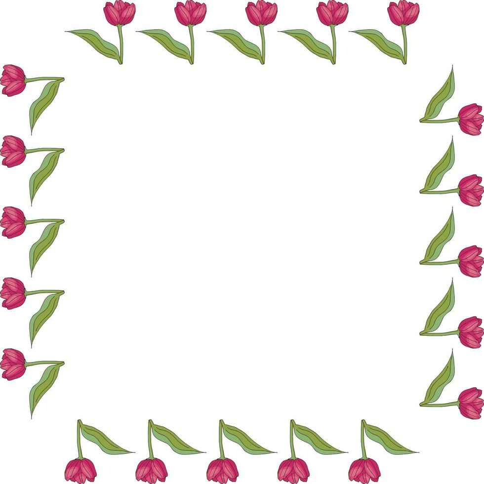 cadre carré avec tulipes roses en fleurs verticales sur fond blanc. cadre isolé de fleurs pour votre conception. vecteur