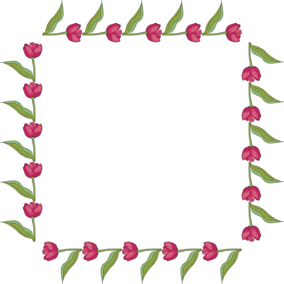 cadre carré avec tulipes roses en fleurs horizontales sur fond blanc. cadre isolé de fleurs pour votre conception. vecteur