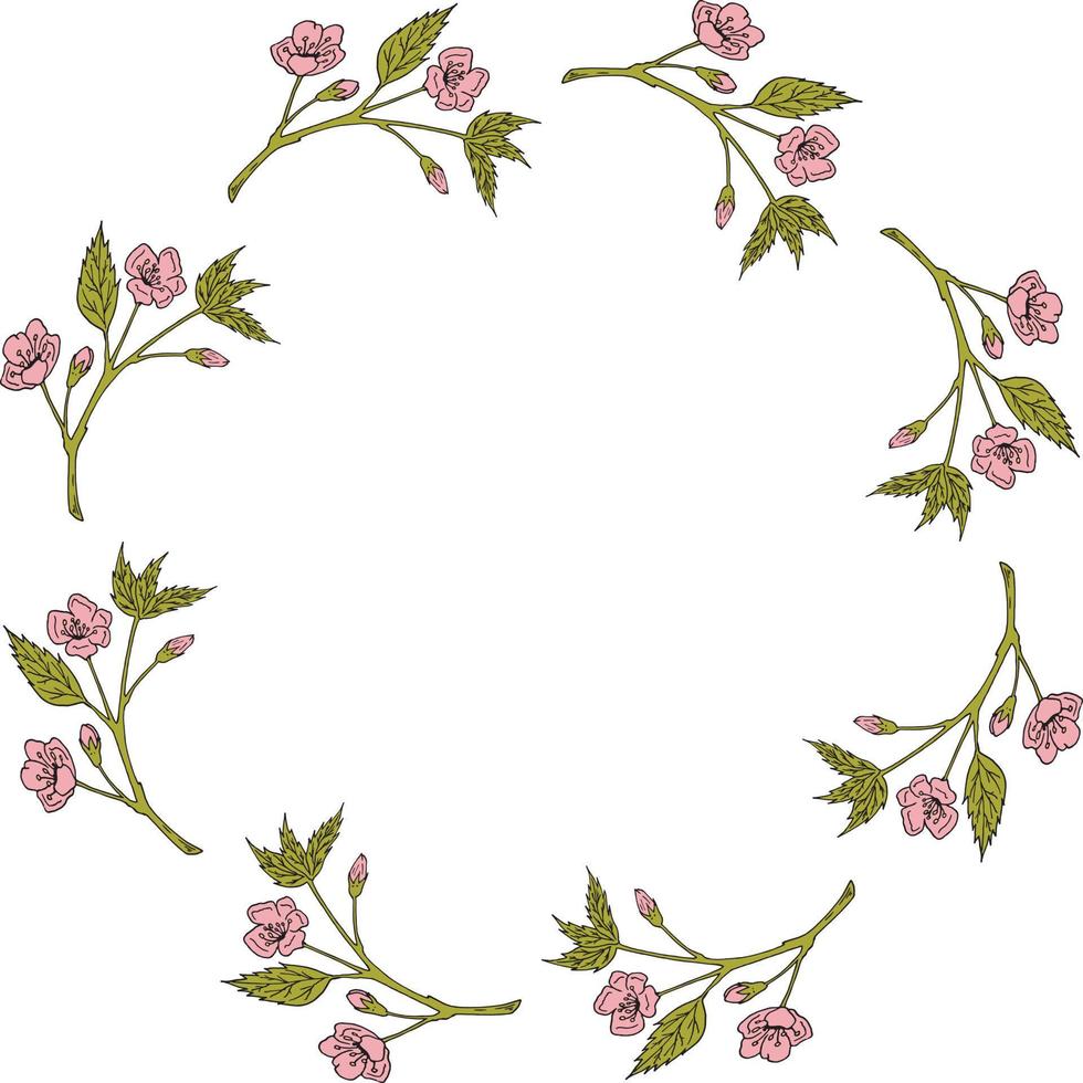 cadre rond en branches de sakura. Couronne romantique sur fond blanc vecteur