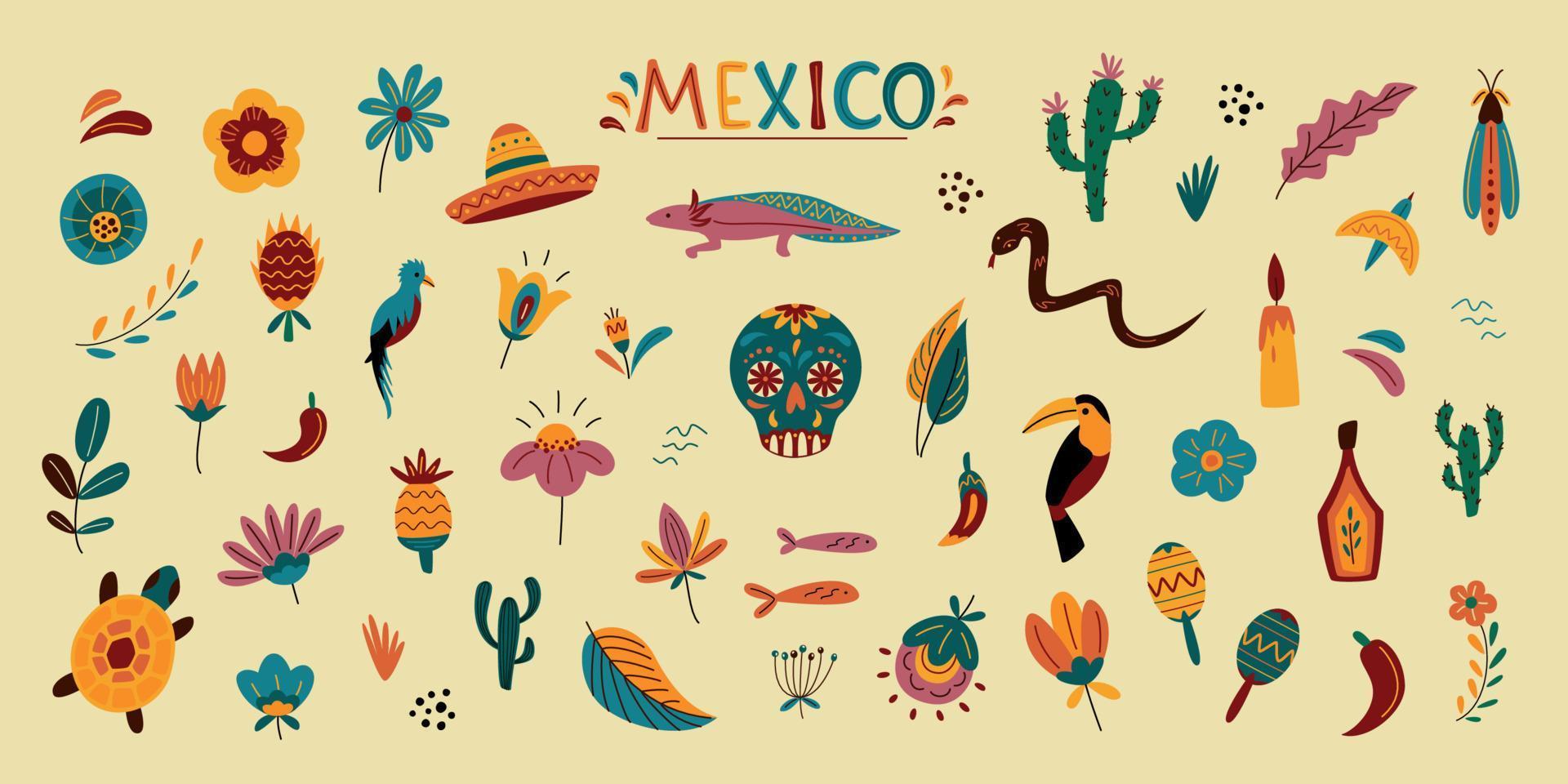 ensemble de vecteurs décoratifs mexicains vecteur