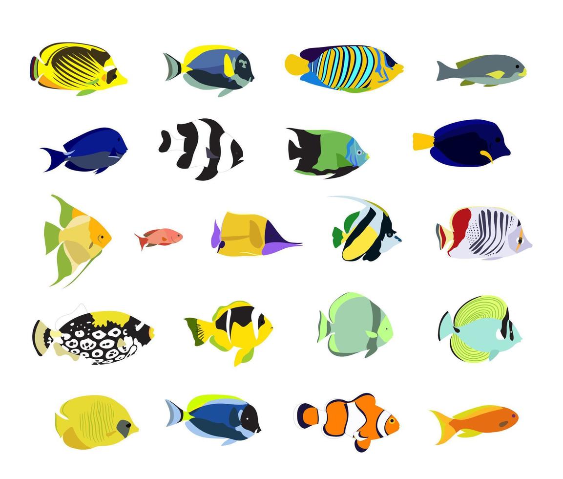 ensemble de poissons tropicaux colorés et réalistes. beaux poissons pour le montage. vecteur