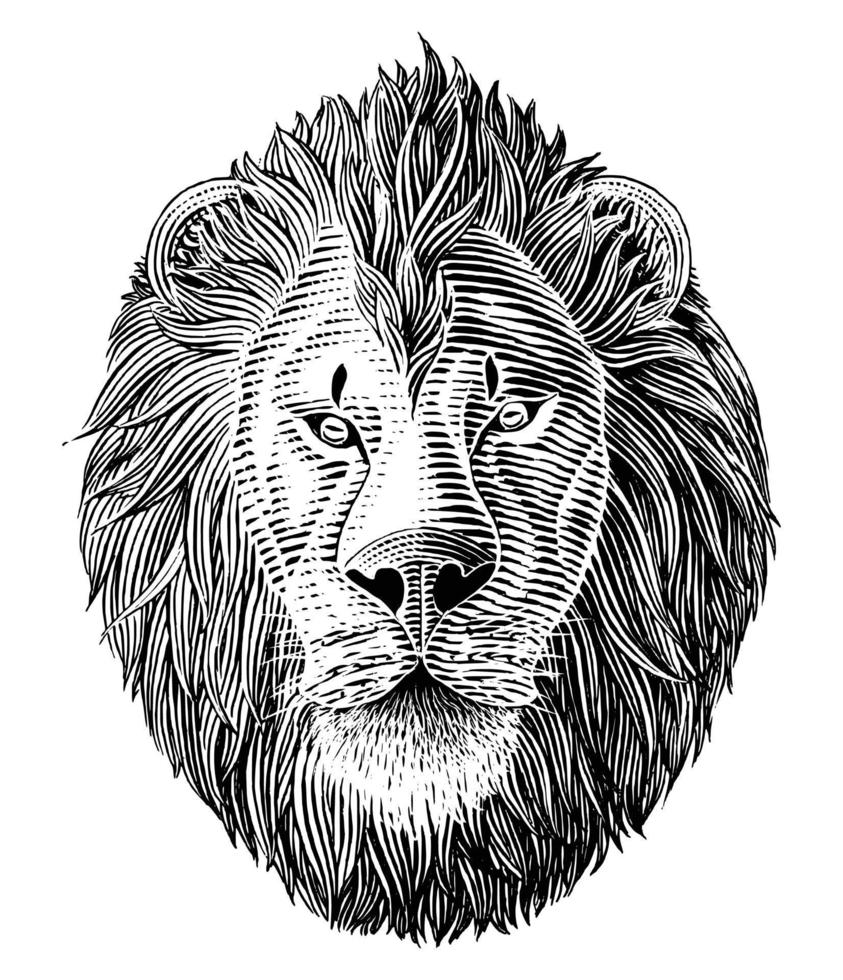la tête de lion part dessiner vintage gravure illustration noir et blanc clip art isolé sur fond blanc vecteur