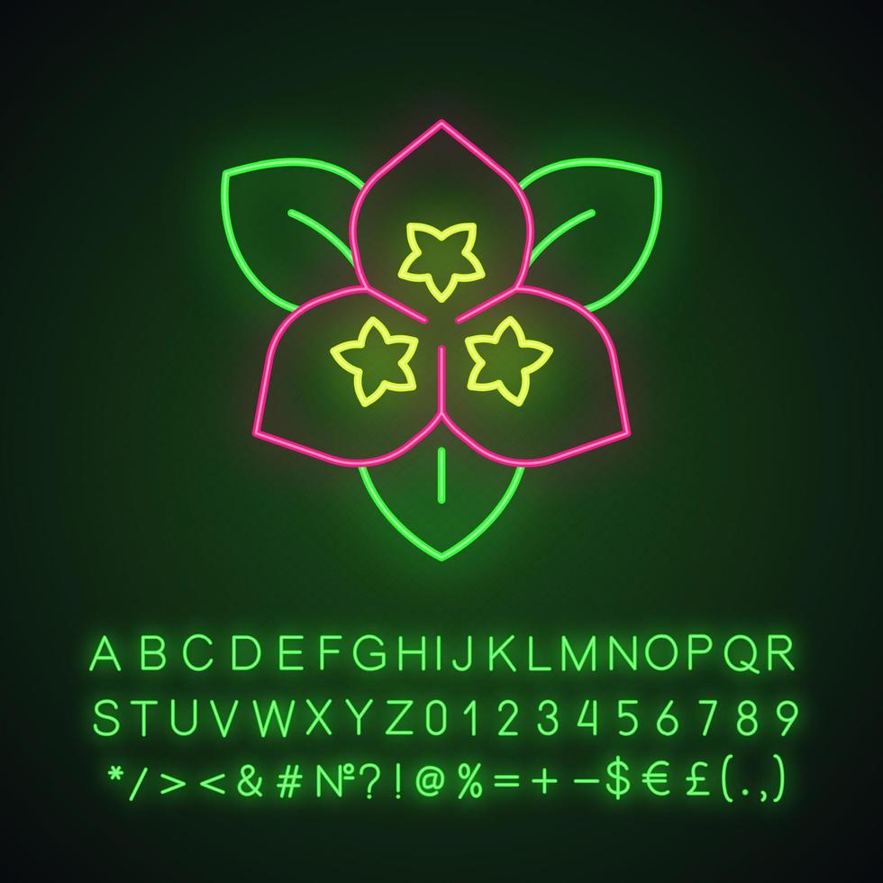 icône de néon de fleur de bougainvillier. plante ornementale de jardin. signe lumineux avec alphabet, chiffres et symboles. illustration vectorielle isolée vecteur