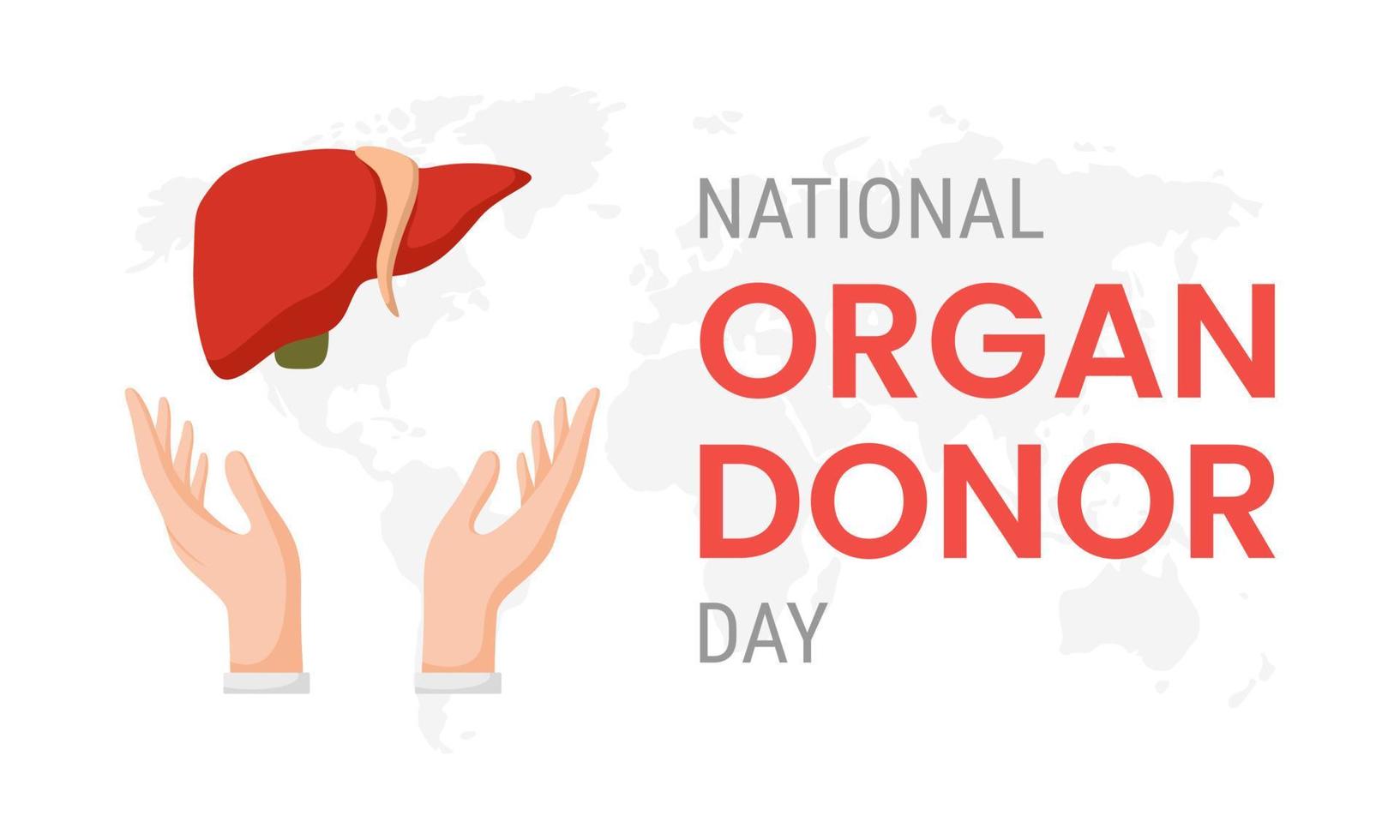 journée nationale du don d'organes avec foie vecteur