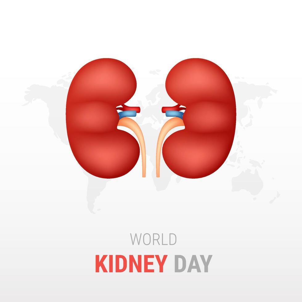 journée mondiale du rein sur fond blanc vecteur