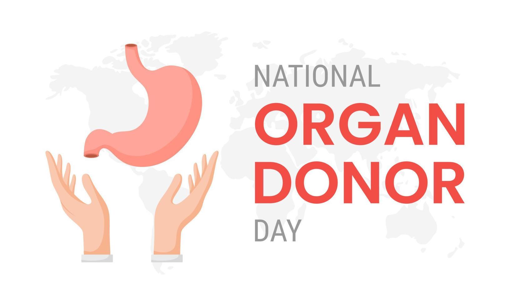 journée nationale du don d'organes avec estomac vecteur