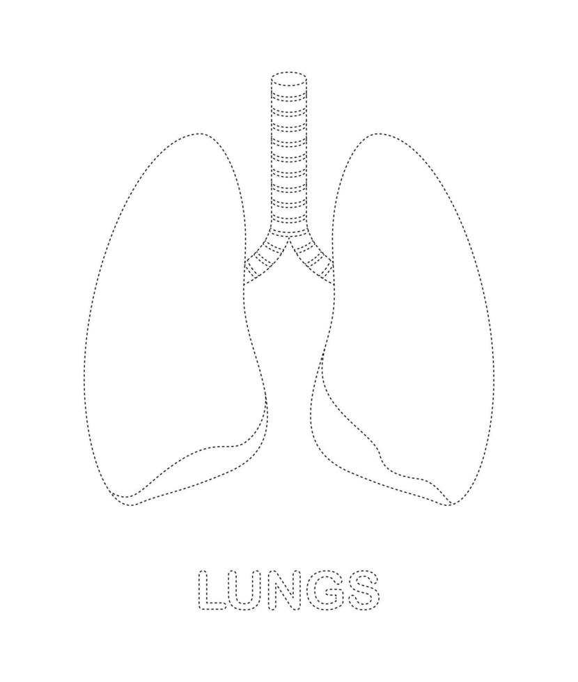 feuille de traçage des poumons pour les enfants vecteur