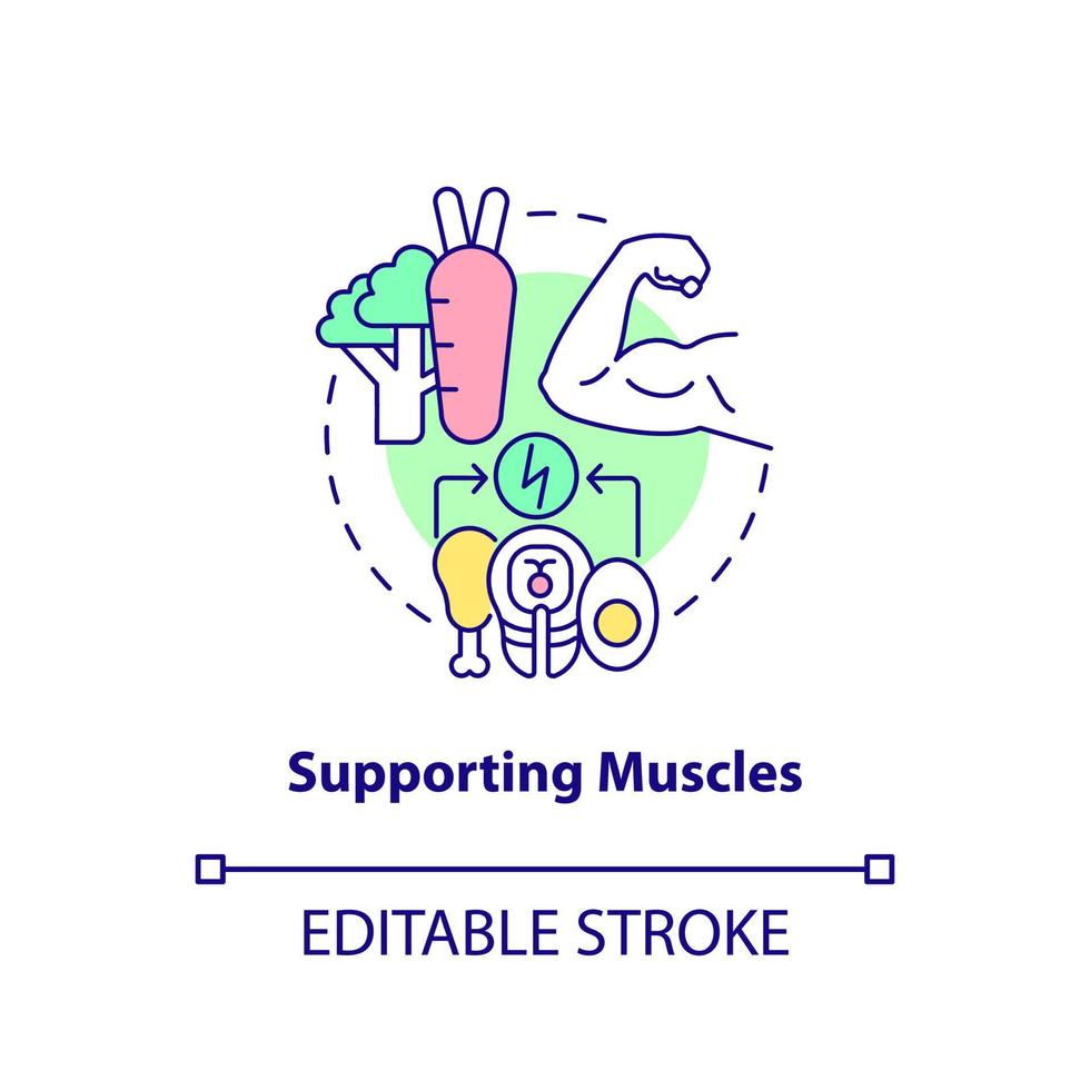 icône de concept de muscles de soutien. construire de la masse musculaire. avantages d'une alimentation saine illustration de la ligne mince de l'idée abstraite. dessin de contour isolé. trait modifiable. vecteur