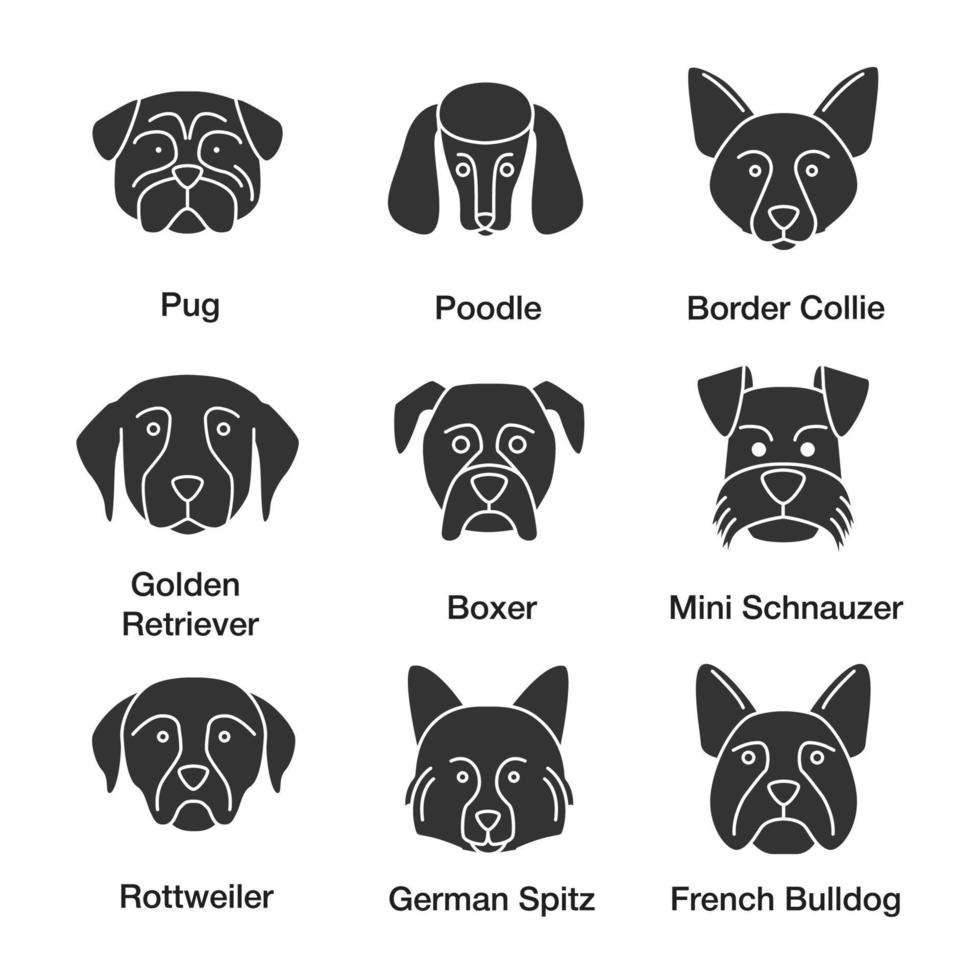 ensemble d'icônes de glyphe de races de chiens. carlin, caniche, border collie, golden retriever, boxer, schnauzer nain, rottweiler, spitz allemand, bouledogue français. symboles de silhouettes. illustration vectorielle isolée vecteur