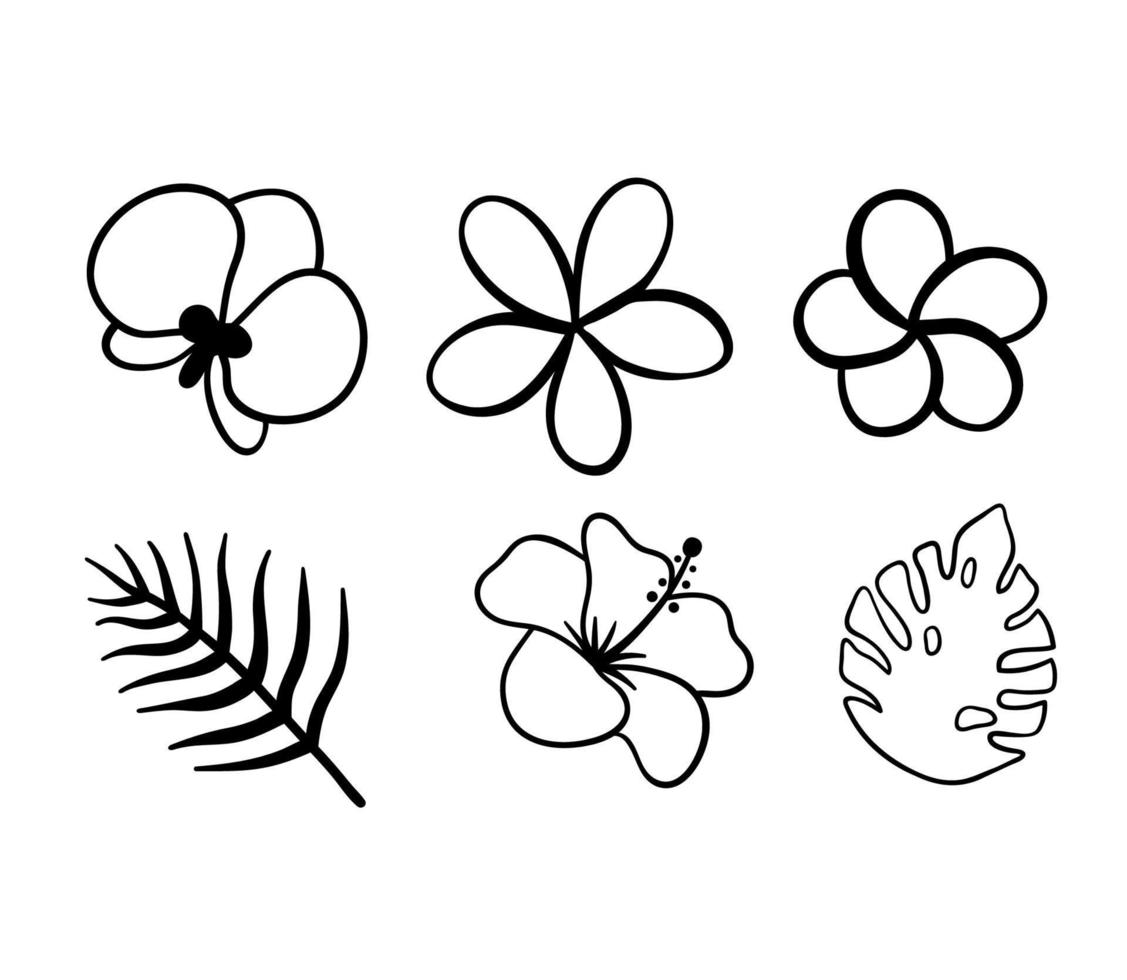 ensemble de feuilles tropicales de plantes de monstera et de palmiers. croquis de ligne de fleur d'hibiscus. illustration monochrome vectorielle isolée sur fond blanc. vecteur