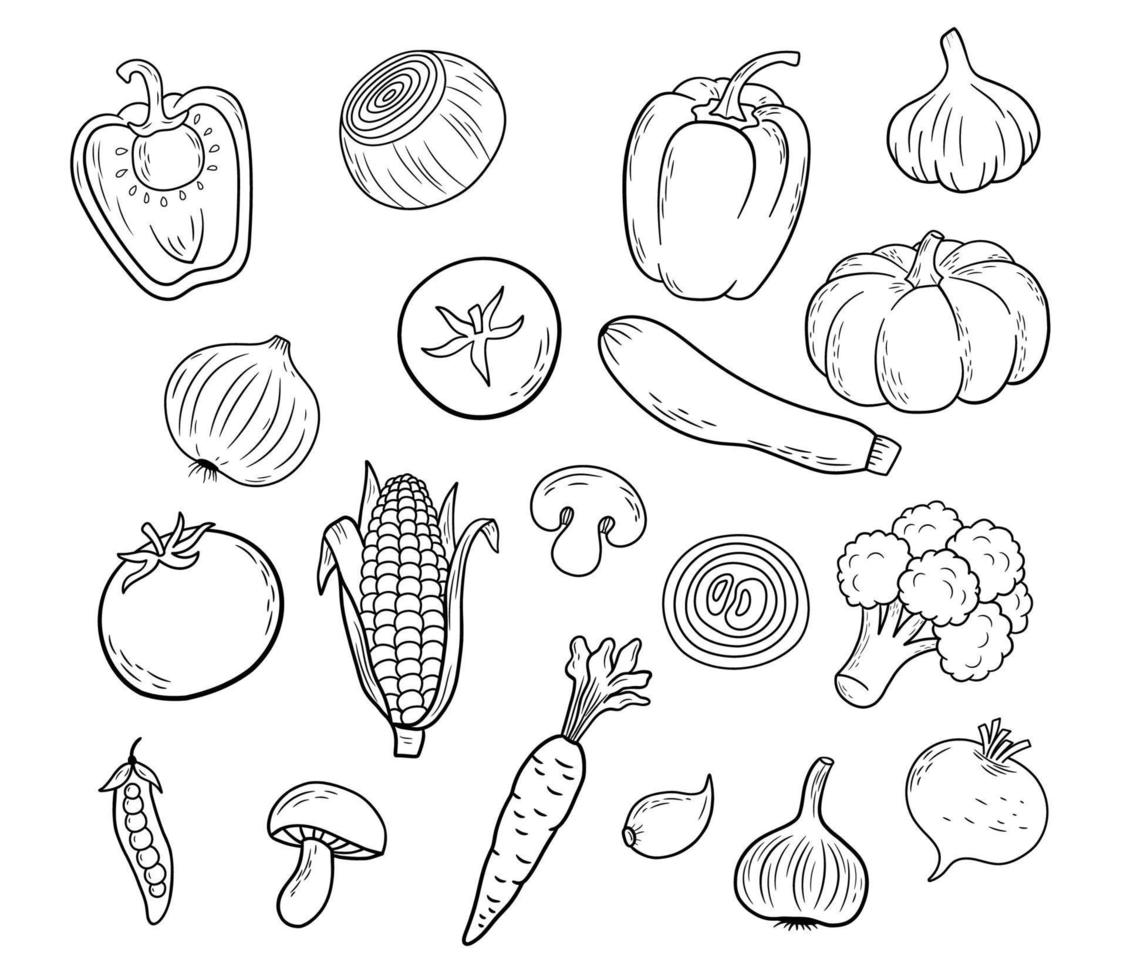 ensemble de légumes dans le style de contour. croquis tomate, ail, citrouille, courgette, maïs, brocoli isolé sur fond blanc. dessin au trait dessiné à la main de vecteur. vecteur