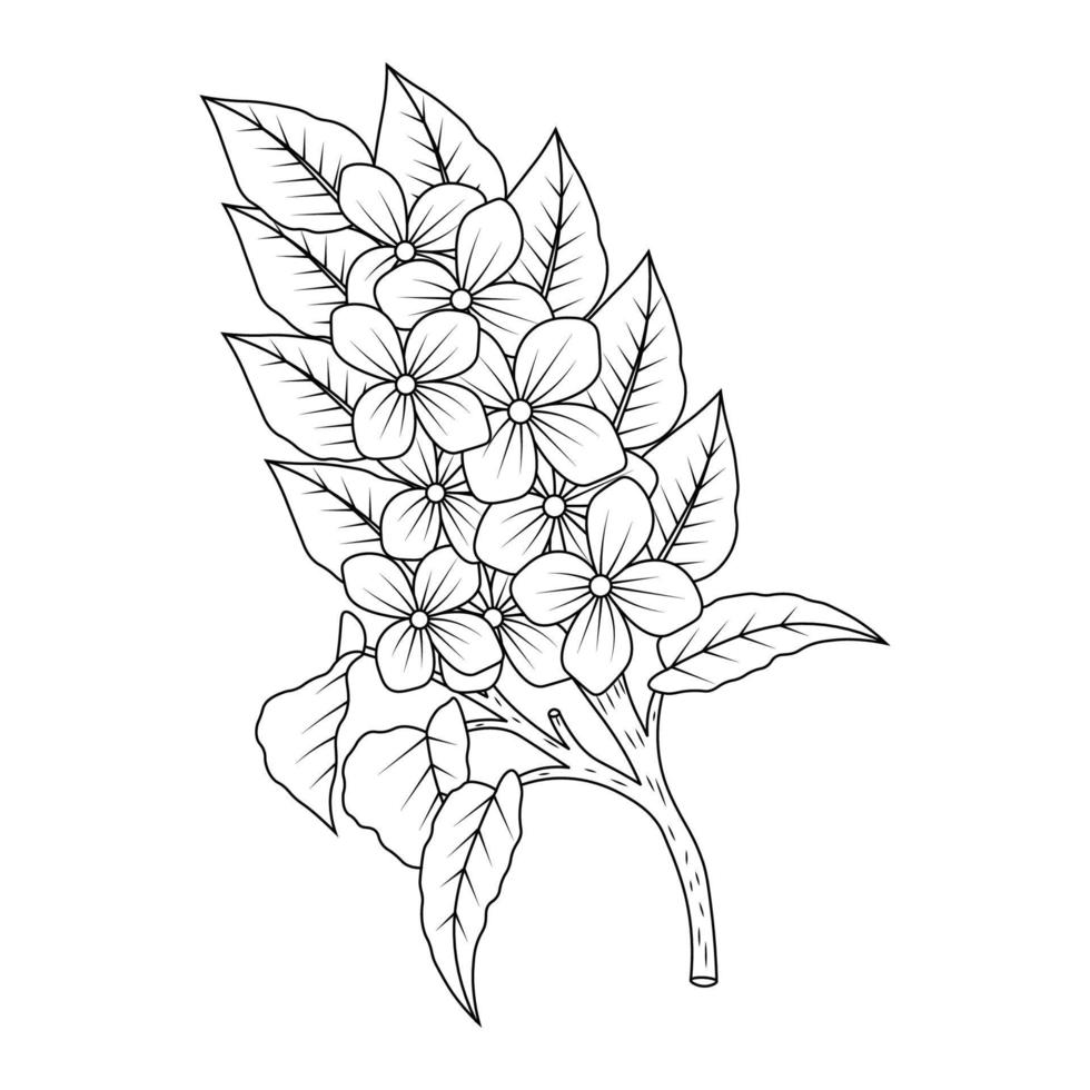 dessin de style doodle de modèle de conception d'art en ligne de branche de fleur en fleurs vecteur