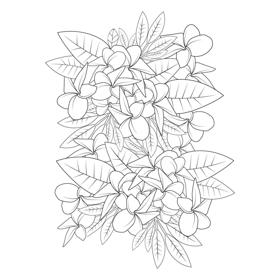 plumeria fleur doodle coloriage contour illustration vectorielle d'isolé sur fond blanc vecteur