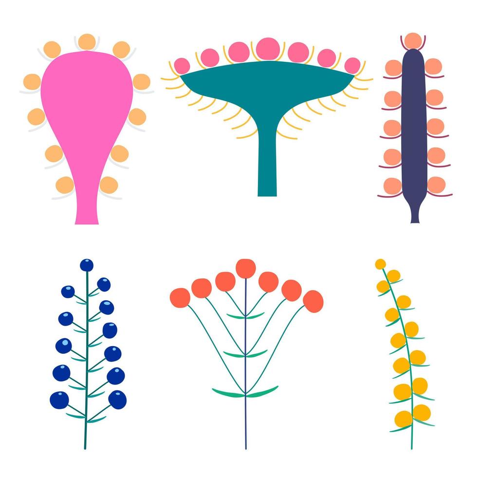 ensemble vectoriel d'inflorescences florales de plantes sur la tige. style plat.