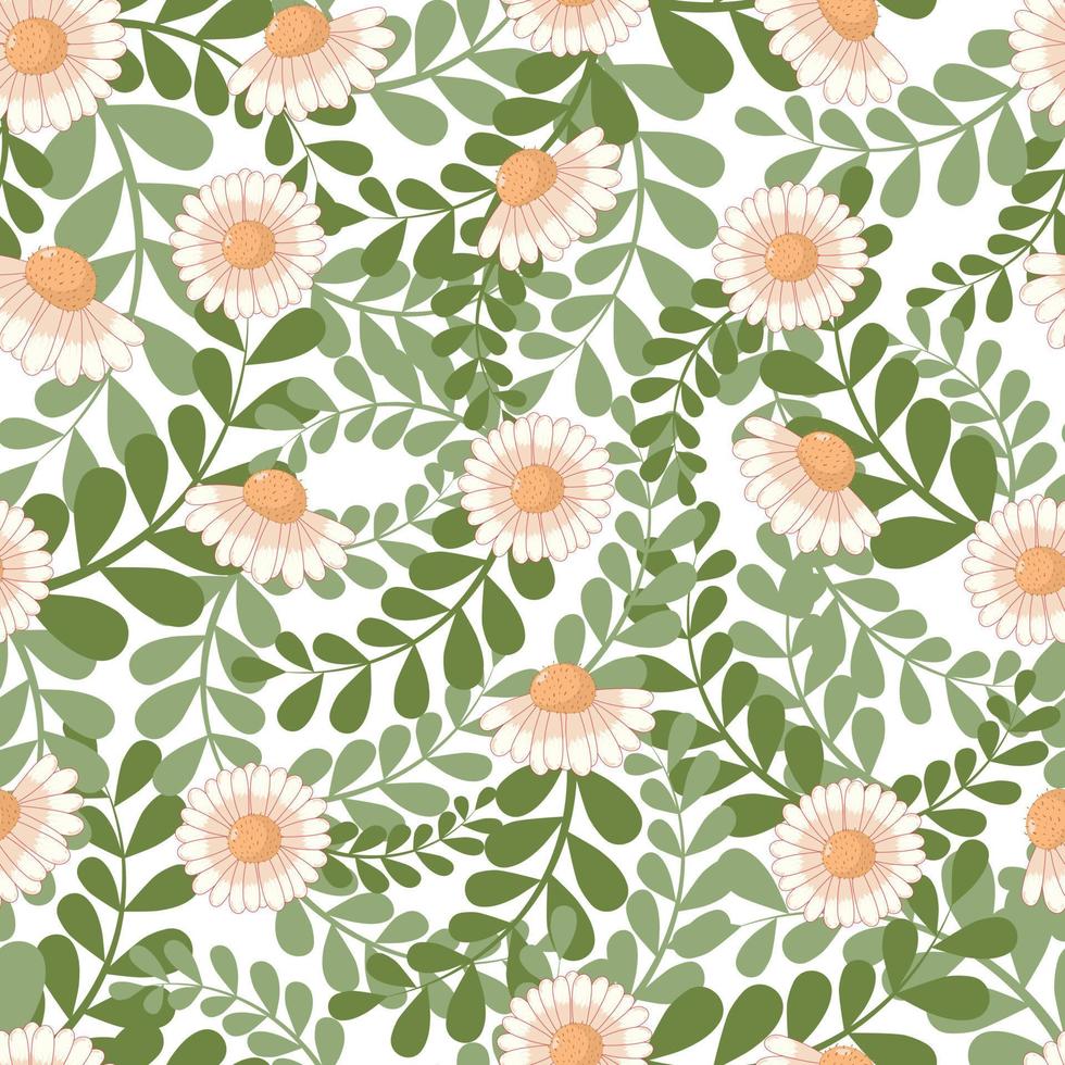 motif d'ornement botanique harmonieux avec des marguerites rouges d'automne aux couleurs pastel isolés sur fond blanc avec un feuillage vert en style cartoon plat vecteur