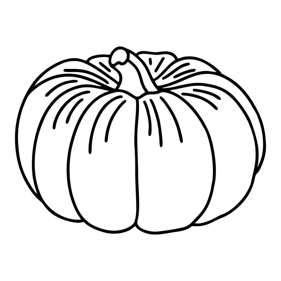 illustration vectorielle noir et blanc. citrouille mignonne dans le style doodle. vecteur