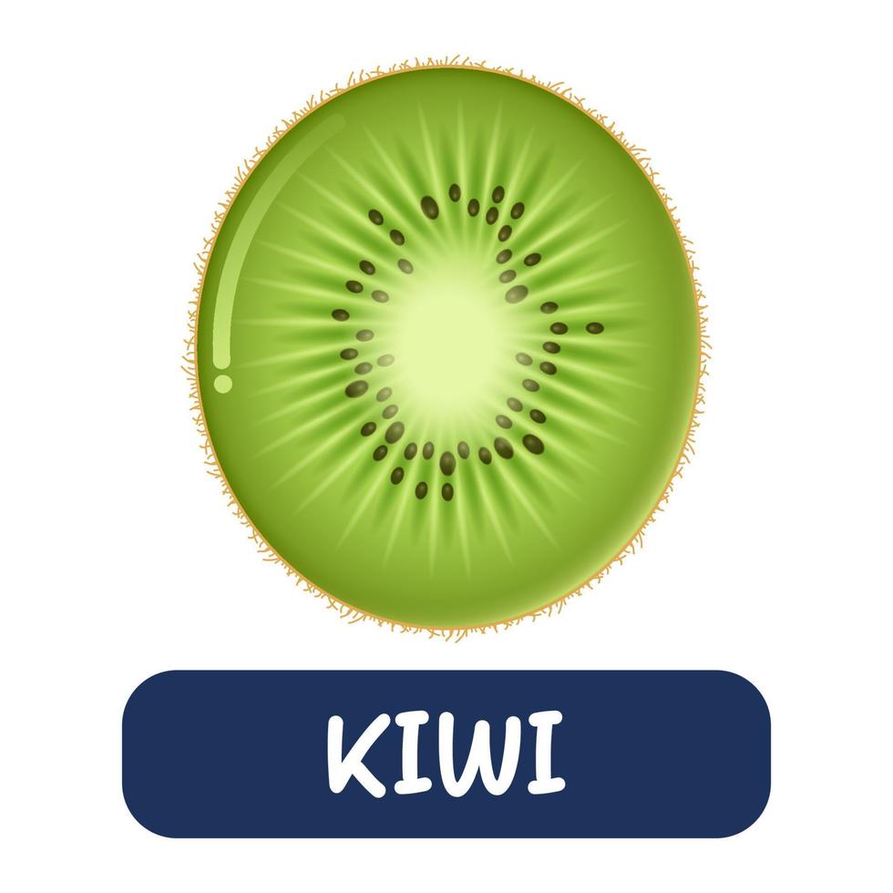 vecteur de kiwi de dessin animé isolé sur fond blanc