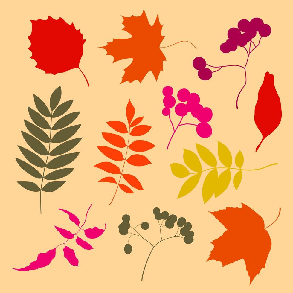 variété de feuilles d'automne colorées à la mode. illustrations vectorielles pour le web, l'application et l'impression. formes élégantes feuilles de gradient isolées floristiques. ensemble floral forestier, botanique et minimaliste. vecteur