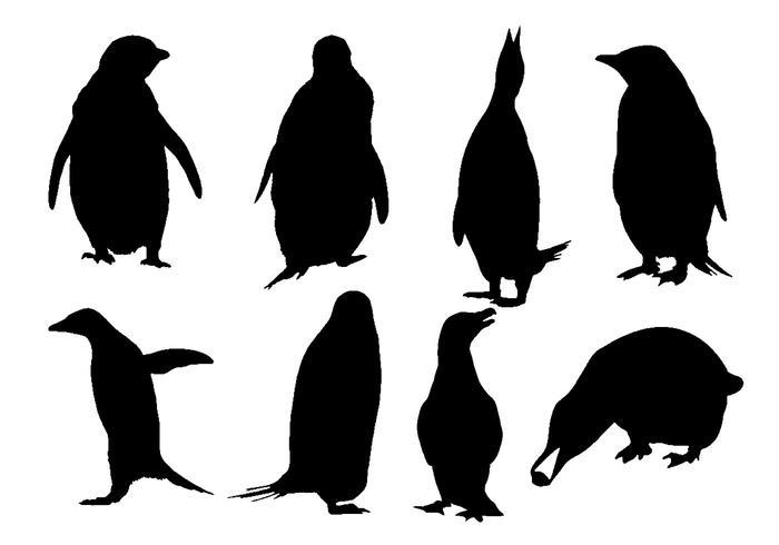 Vecteur libre de silhouette de pingouin