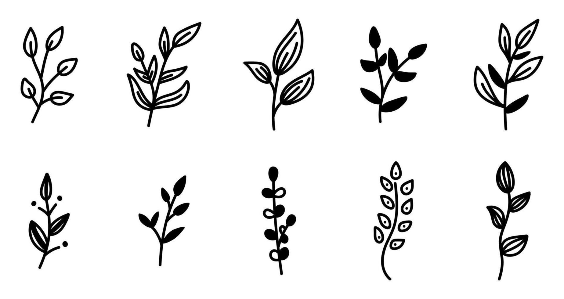 ensemble de branches de doodle avec des éléments décoratifs de feuilles. conception d'illustration vectorielle botanique, éléments noirs isolés dessinés à la main. vecteur