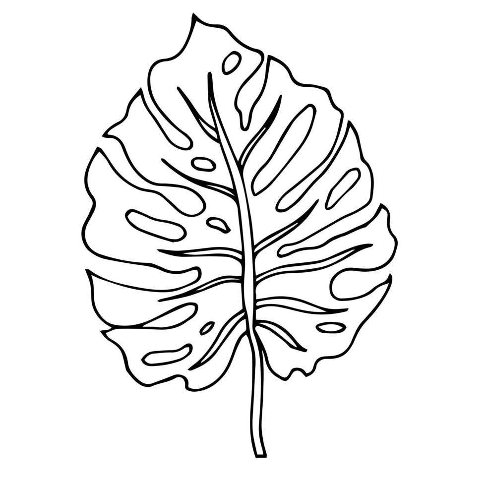 Feuille de monstera noir et blanc isolé sur fond blanc vecteur