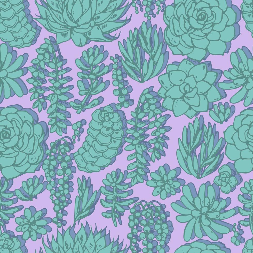 modèle sans couture de vecteur de diverses plantes succulentes