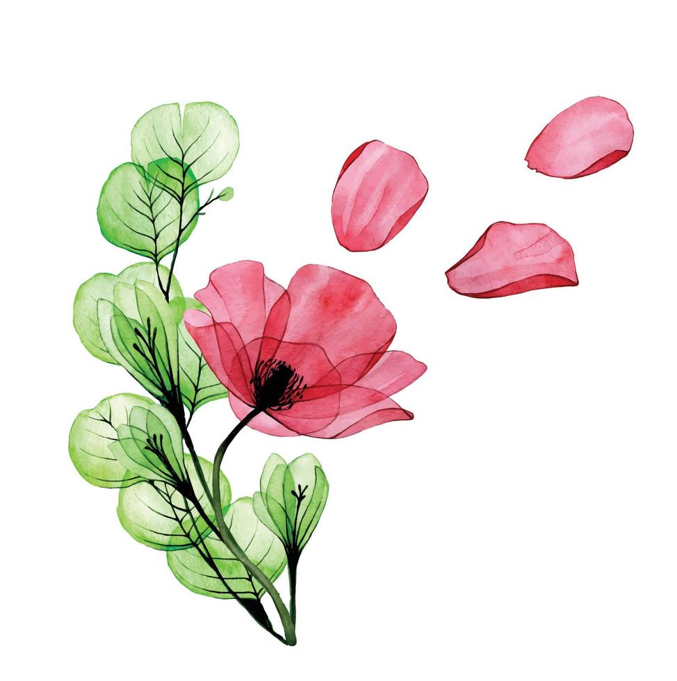 dessin à l'aquarelle. bouquet de fleurs de pavot et de feuilles d'eucalyptus. composition florale de fleurs de pavot rouge et de feuilles vertes isolées sur fond blanc. clipart, décoration pour carte de voeux vecteur