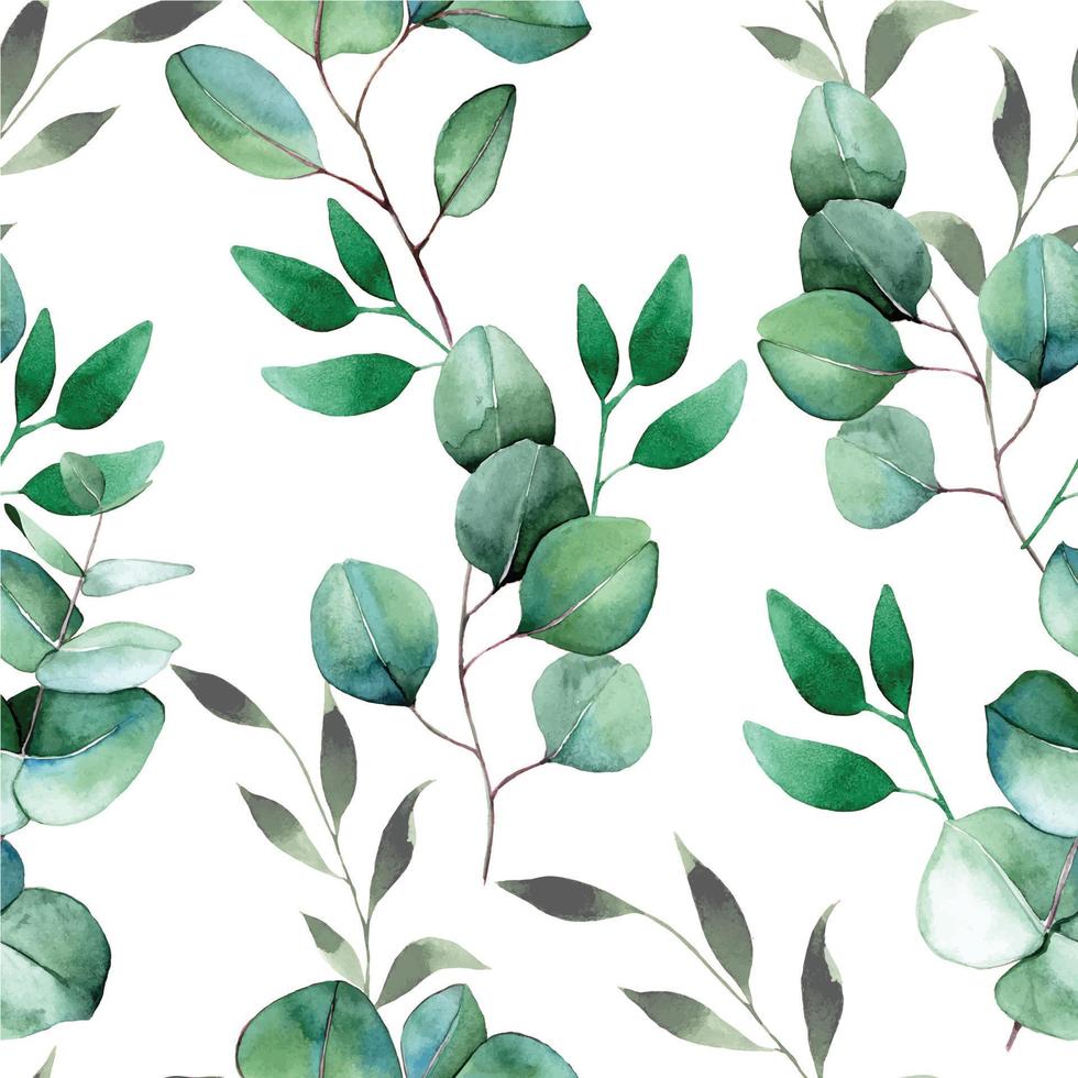 modèle harmonieux d'aquarelle avec des feuilles d'eucalyptus. imprimé délicat, motif vintage. Feuilles d'eucalyptus vert sur fond blanc vecteur