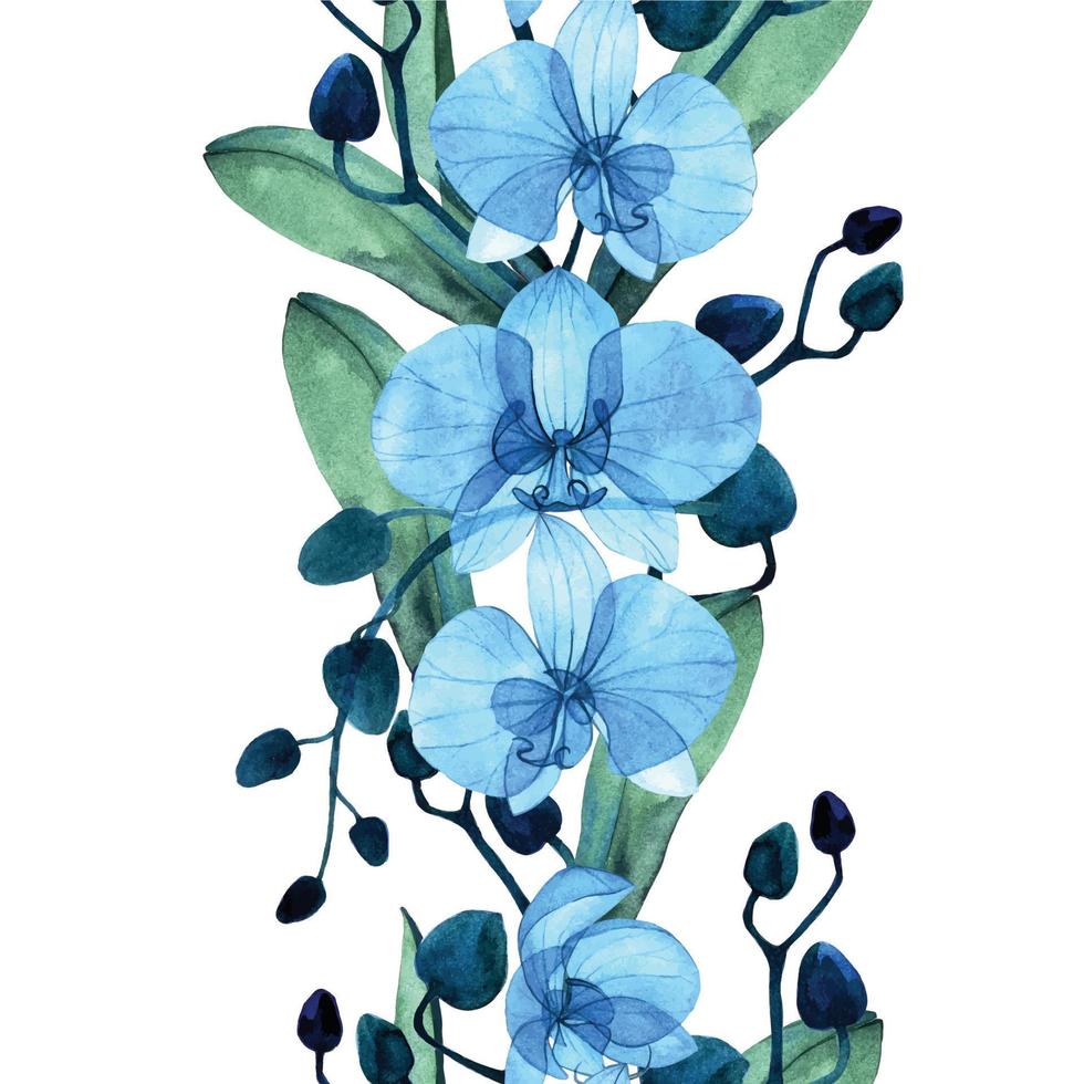 bordure transparente à l'aquarelle avec des fleurs d'orchidées phalaenopsis transparentes bleues. impression transparente, motif, bordure verticale avec fleurs tropicales transparentes et feuilles isolées sur fond blanc vecteur