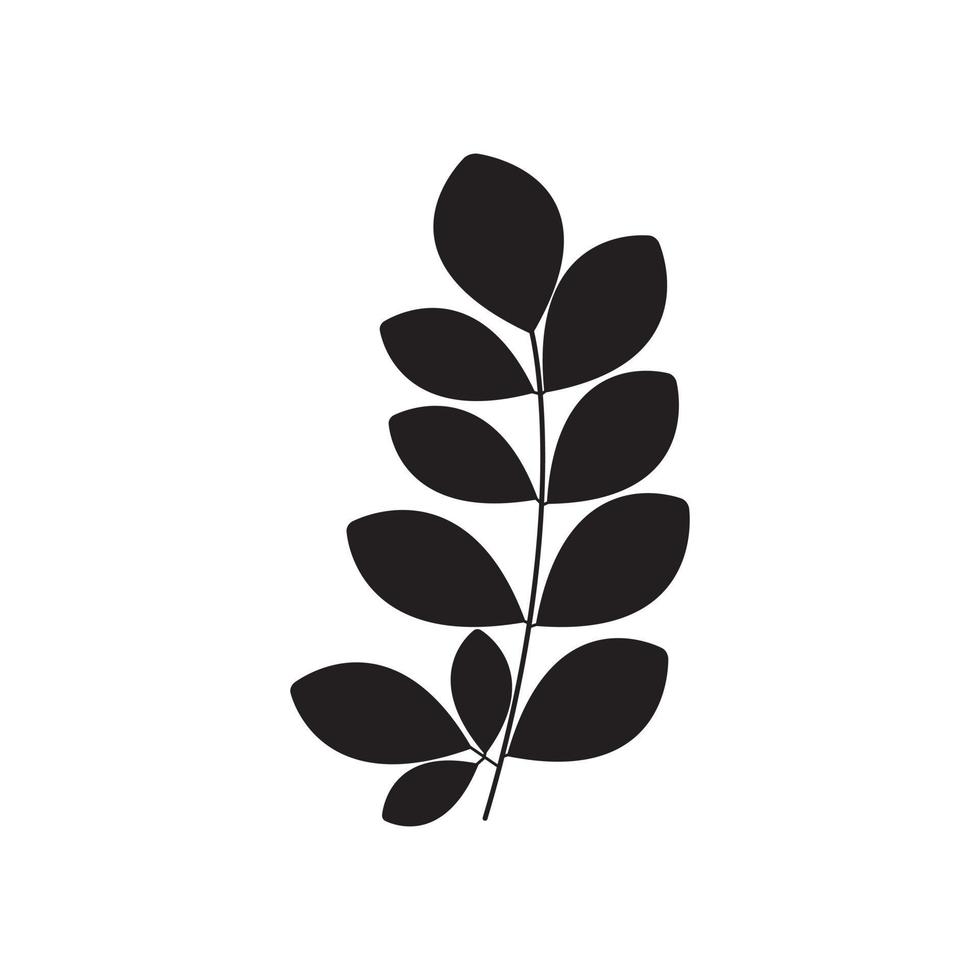 ensemble de silhouette de feuilles de moringa noir vecteur