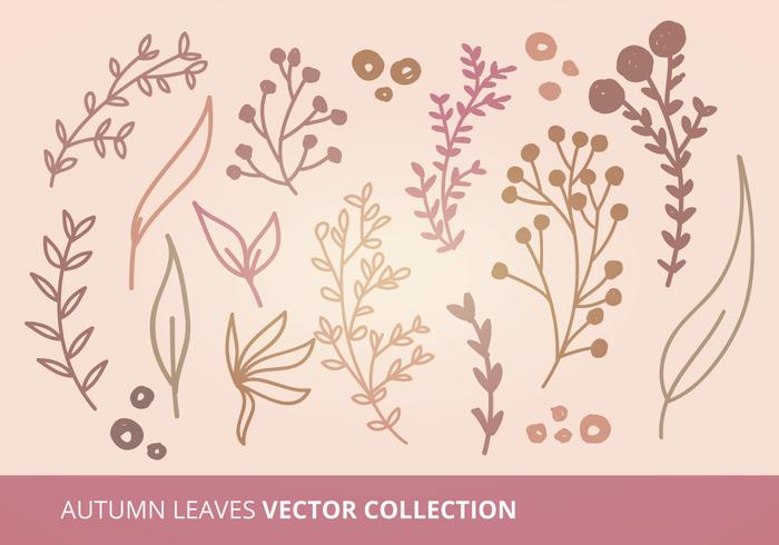 Collection de vecteur feuilles d'automne