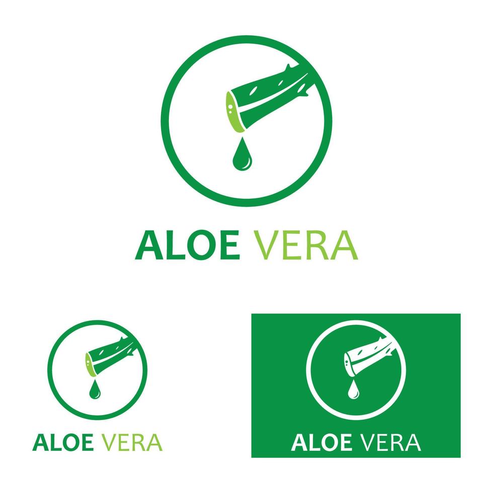 modèle d'illustration vectorielle logo aloe vera vecteur