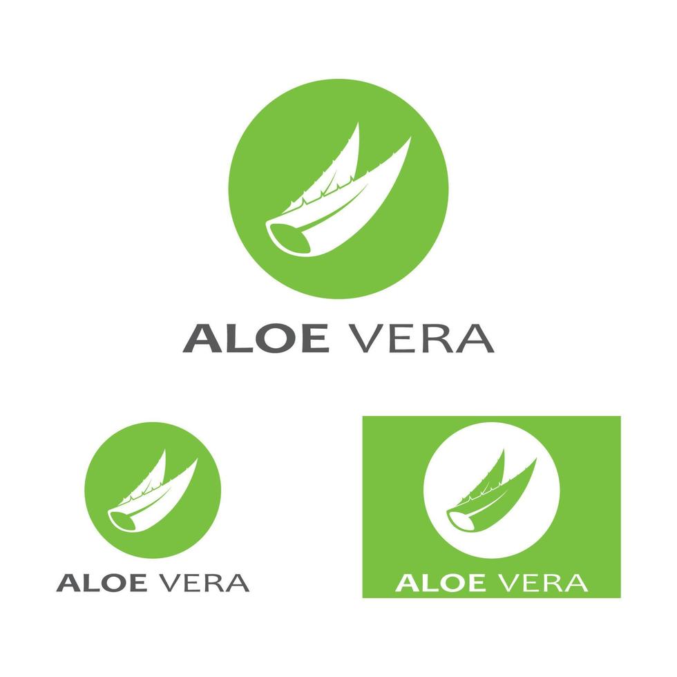 modèle d'illustration vectorielle logo aloe vera vecteur