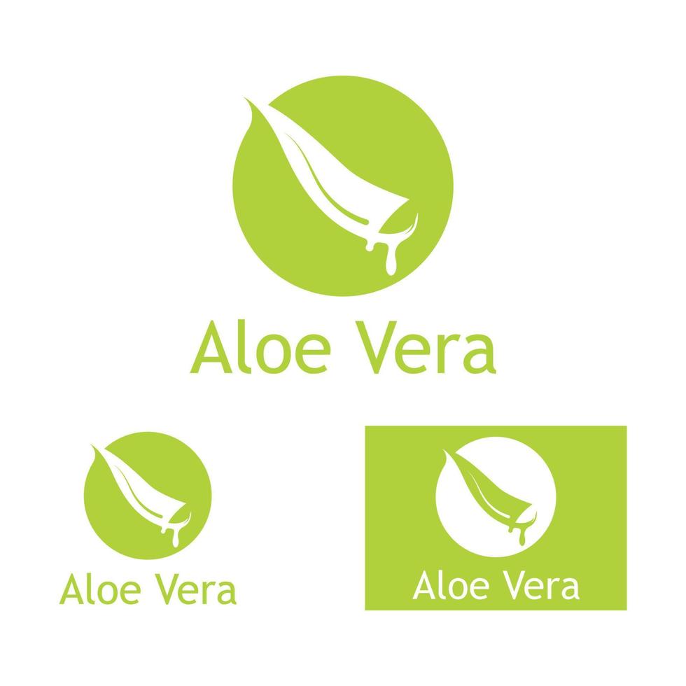 modèle d'illustration vectorielle logo aloe vera vecteur