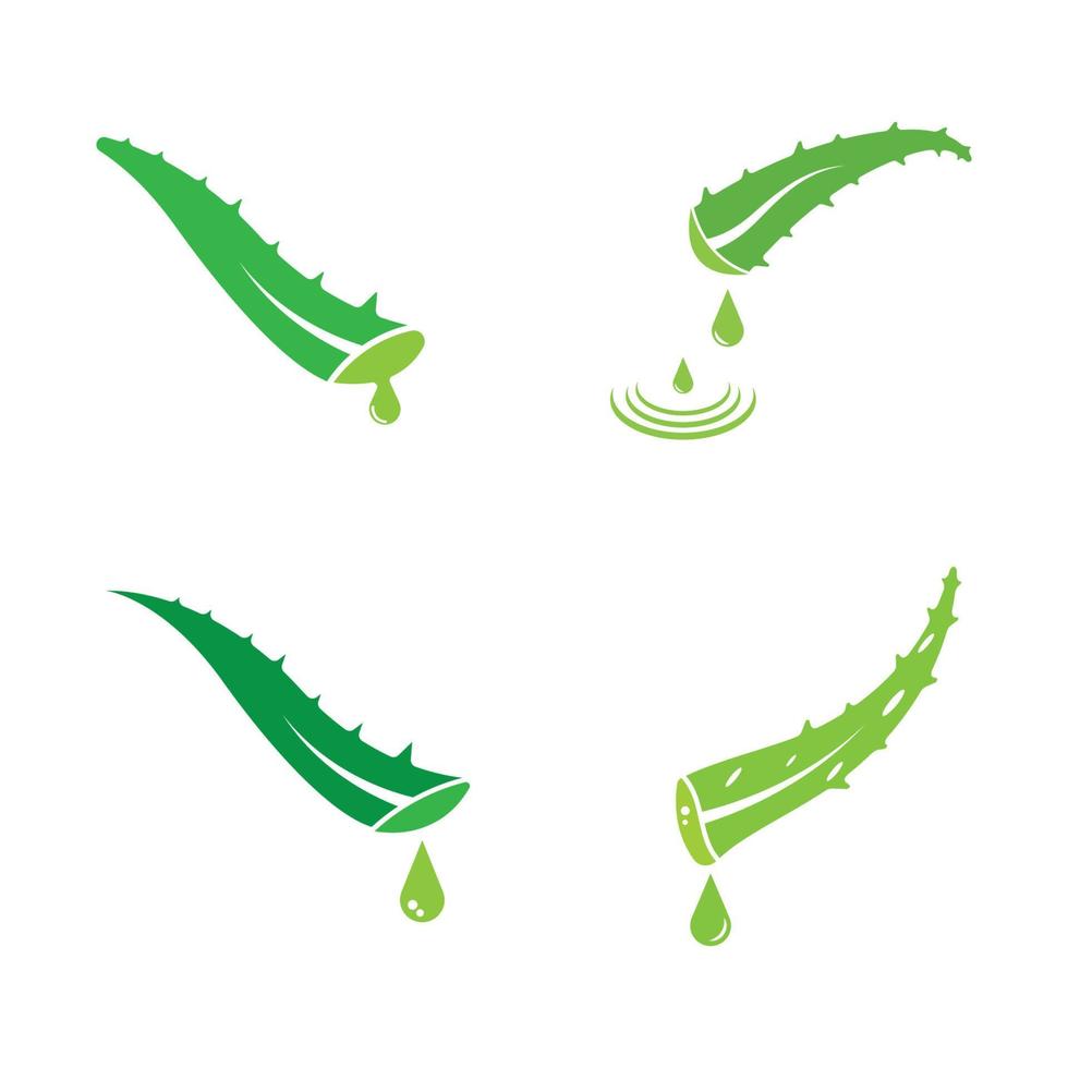 modèle d'illustration vectorielle logo aloe vera vecteur