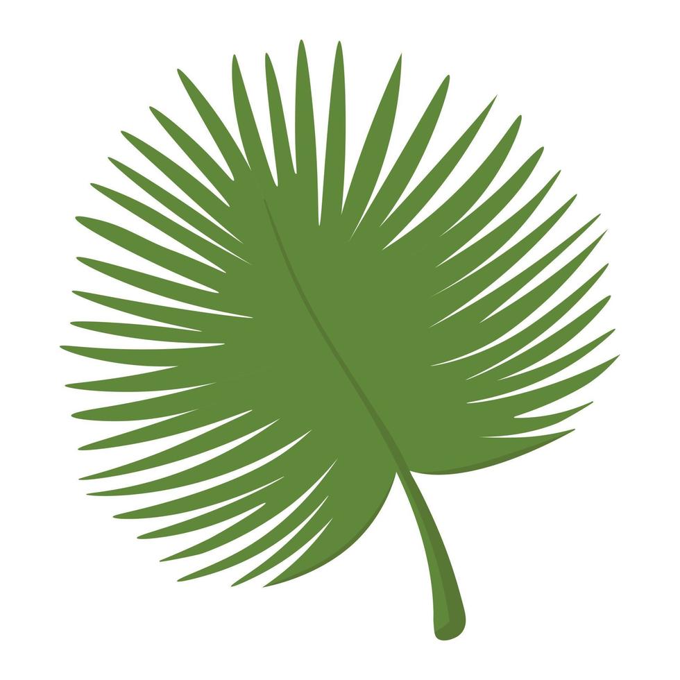 feuilles de palmier tropical. doodle clipart plat. tous les objets sont repeints. vecteur