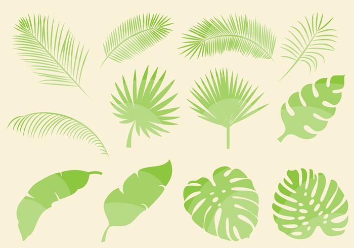 Vecteurs de feuilles tropicales vecteur