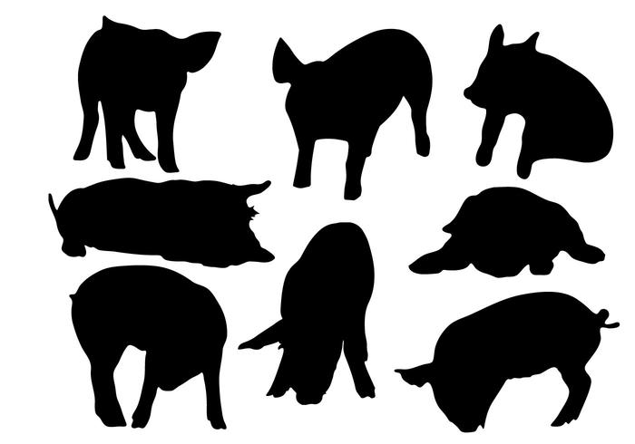 Vecteur de silhouette de porc gratuit