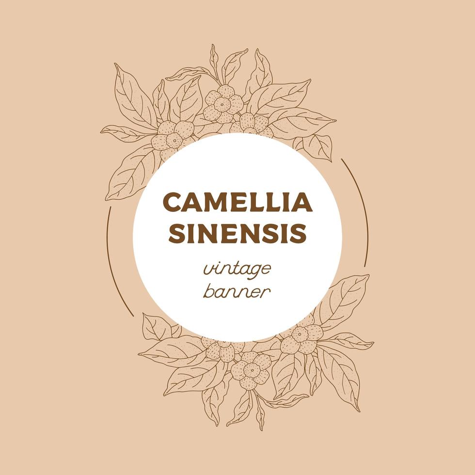 bannière de cercle dessiné à la main camellia sinensis vecteur