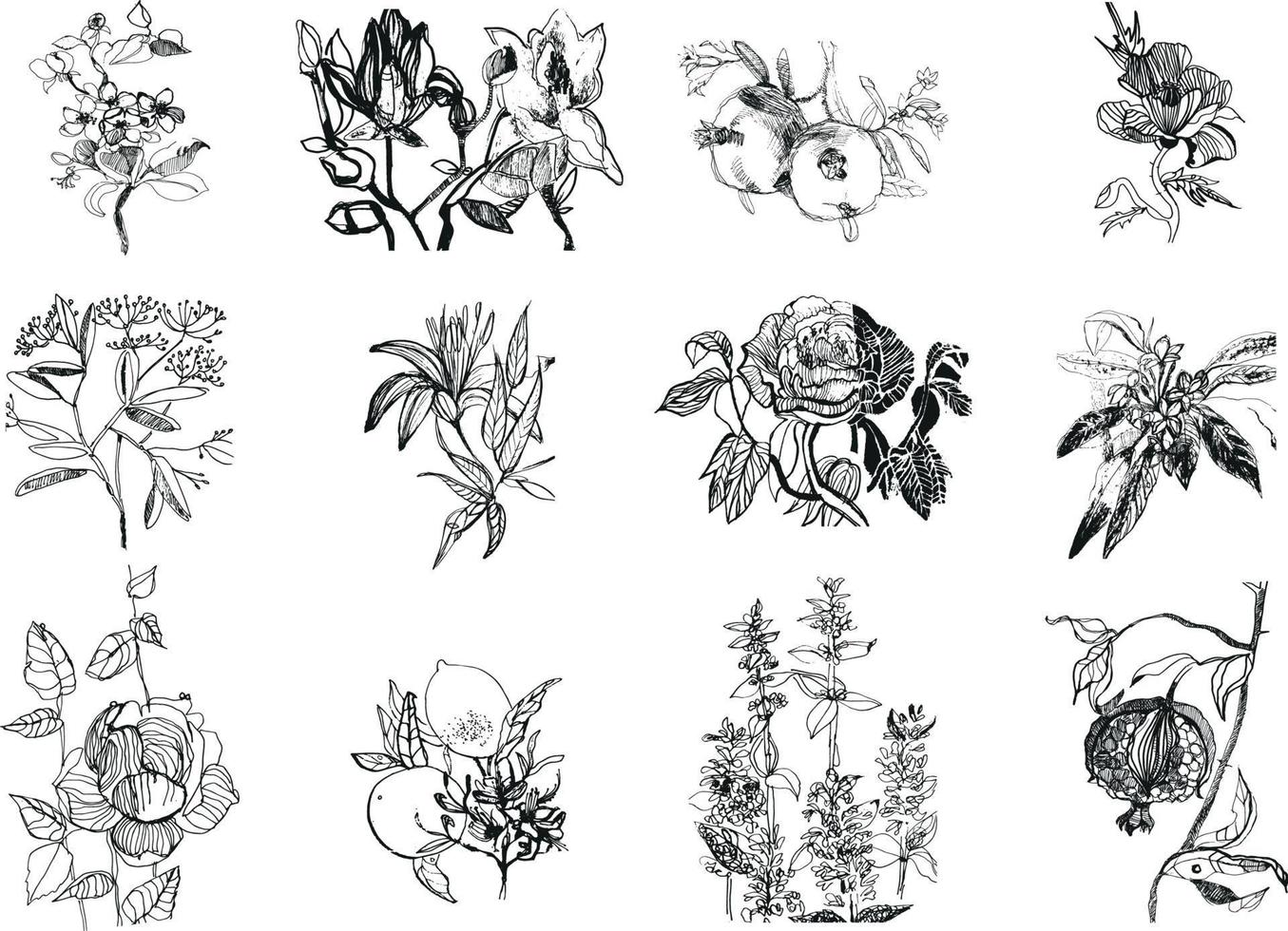 illustration fleurs et plantes vecteur