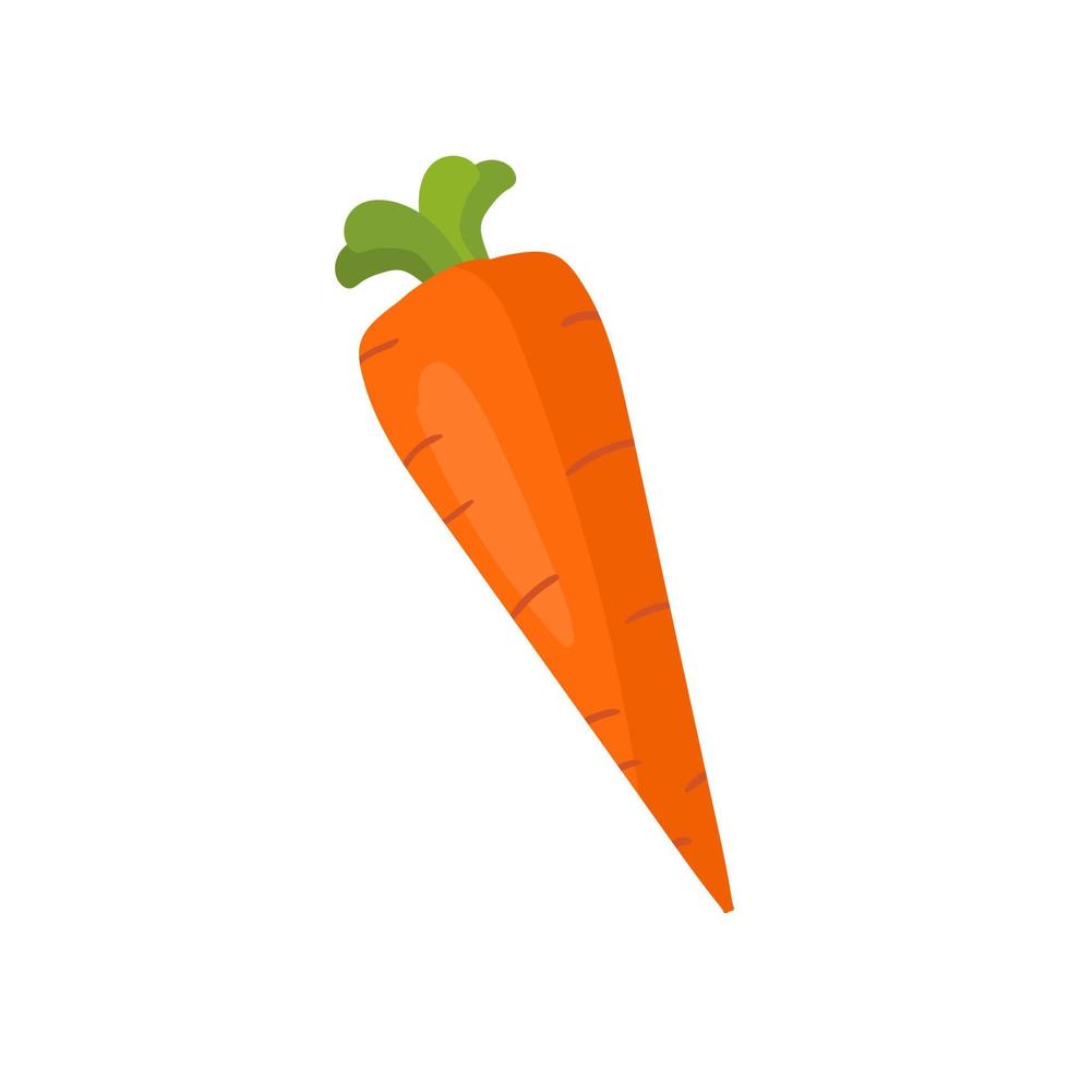 illustration de carotte isolée sur fond blanc. vecteur