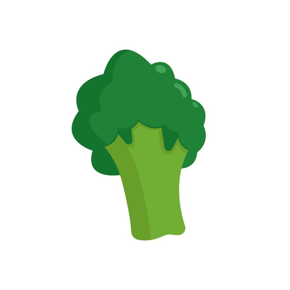 illustration de brocoli isolée sur fond blanc. vecteur